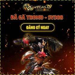 đăng ký tài khoản đá gà trực tuyến nhận 3 triệu từ Vegas79 đá gà Vegas79 thưởng 100% cho lần nạp đầu tiên